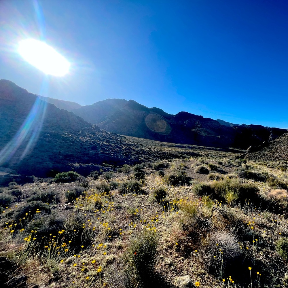 Meet your Posher, Tabatha